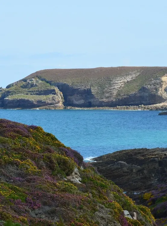 In the Headlands