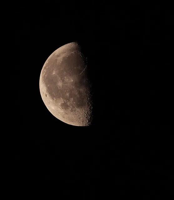 Lunar_ Loner (1)