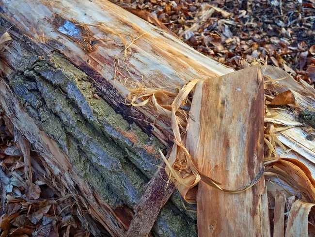Picture3