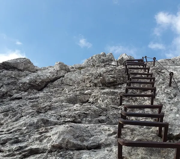 Ladder