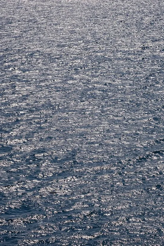 wave